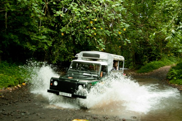 car nature photo - David Maroto Foto viajes